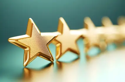 Customer Reviews